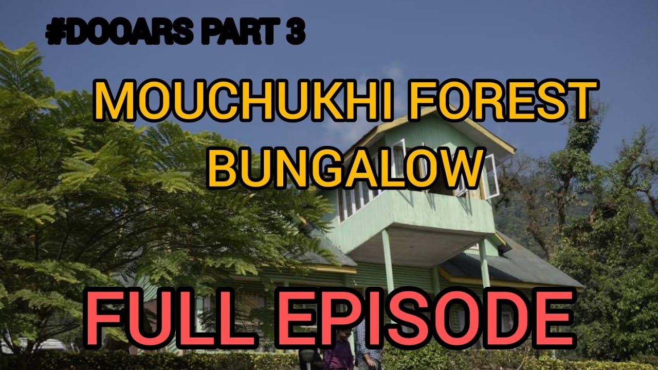 MOUCHUKHI FOREST BUNGALOW || DOOARS || HAUNTED BUNGALOW || #dooars #northbengal #haunted #forest