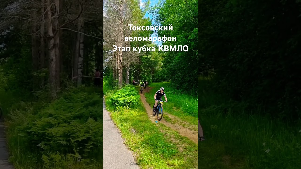 ЭТАП кубка по МТБ КВМЛО Токсовский веломарафон #bike #mtb #crosscountry #xcmtb