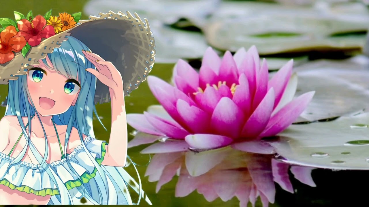 Nightcore - Lotusblume