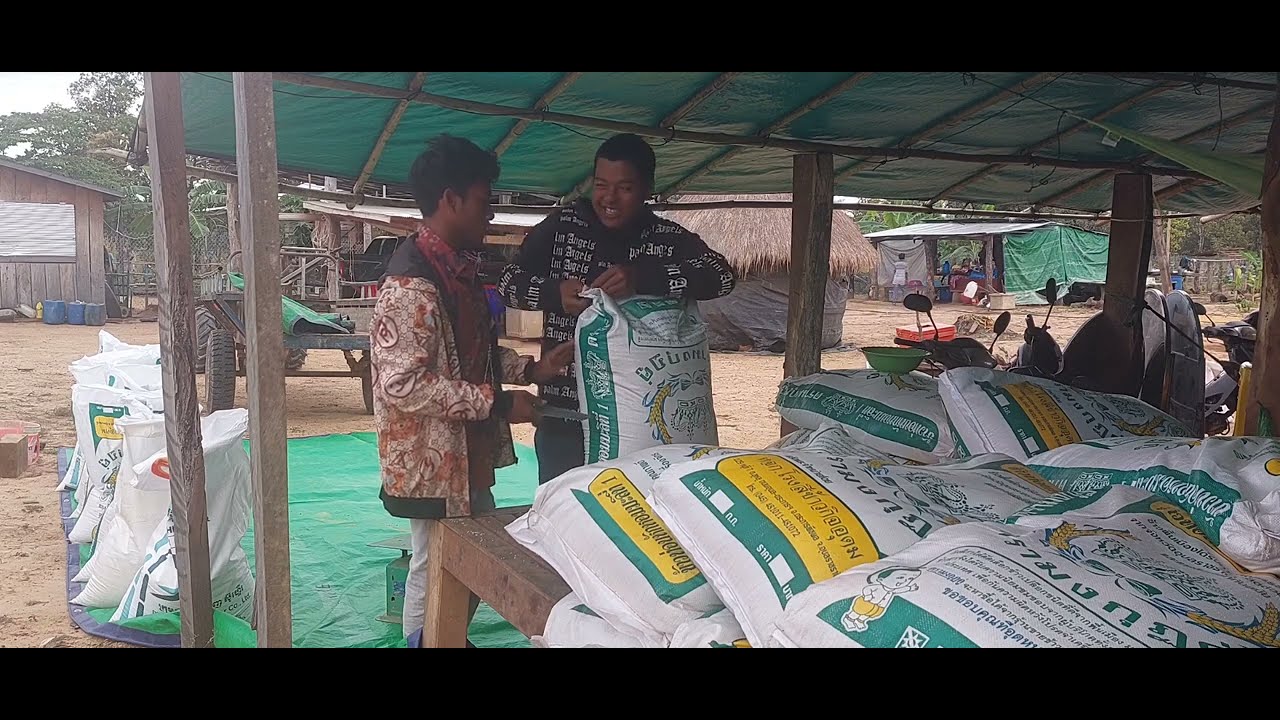 មុនពេលធ្វើទានចែកអង្ករ46គ្រួសារក្រុមការងារទទួលប្រាក់ឧបត្ថម្ភ