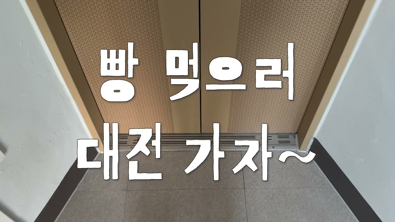 바쁘다 바빠! 대전 당일치기🥖🍞🥪🥐