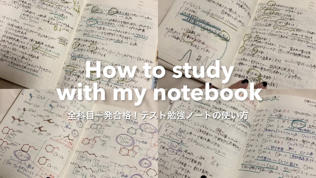 【薬学部】テスト期間ノートの紹介！暗記地獄でも全科目一発合格した勉強法を全て公開します
