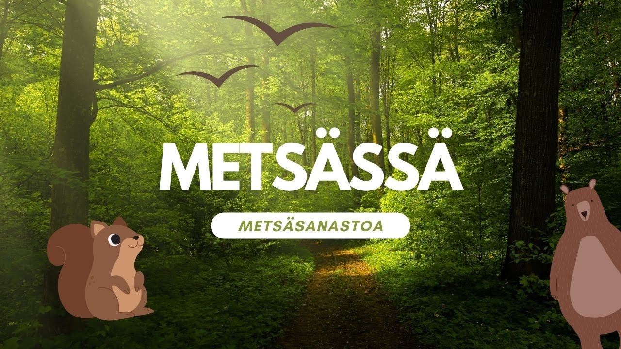 Mitä tehdä metsässä? // metsäsanastoa