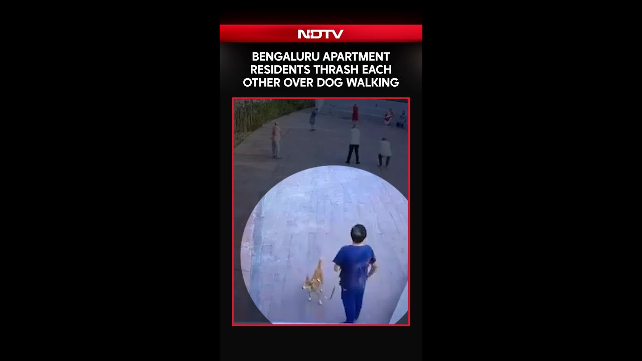 Bengaluru Apartment Residents Thrash Each Other Over Dog Walking