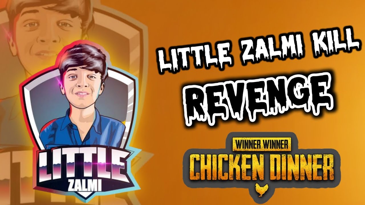 littlezalmi kill Revenge 😱 #littlezalmi