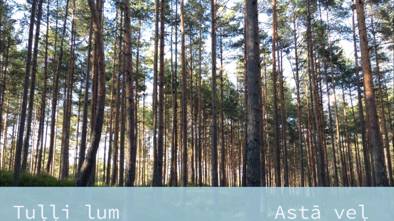 Tuļļi lum / Astā veļ