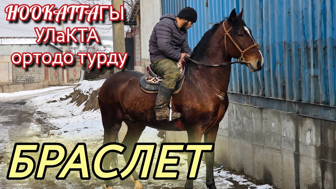 БРАСЛЕТ ЖЫЙЫНДА ОРТОДО КАЙНАДЫ