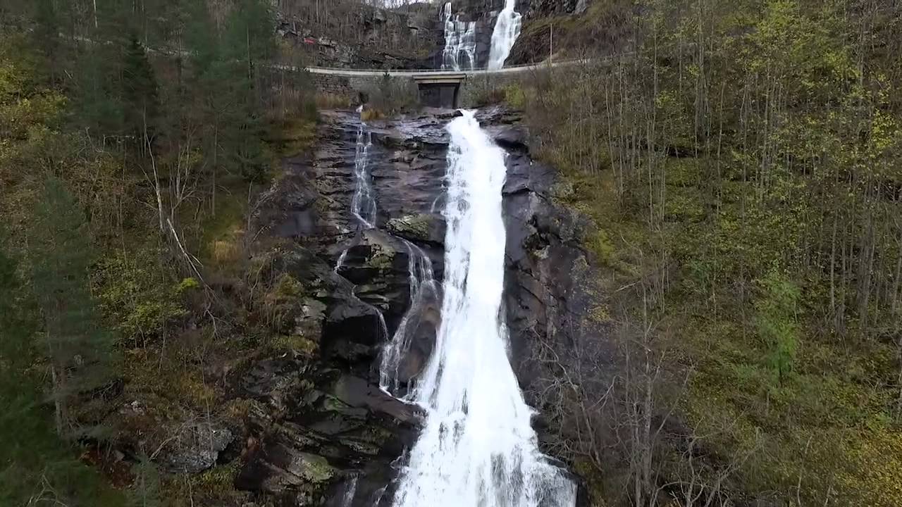 Skjervet Naturvandring