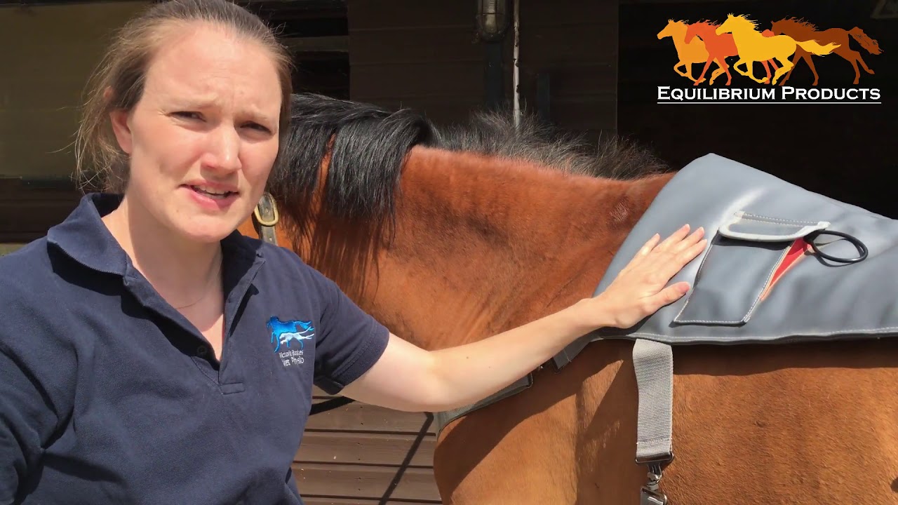 Therapist Vicky, speaking about the Equilibrium Massage Pad