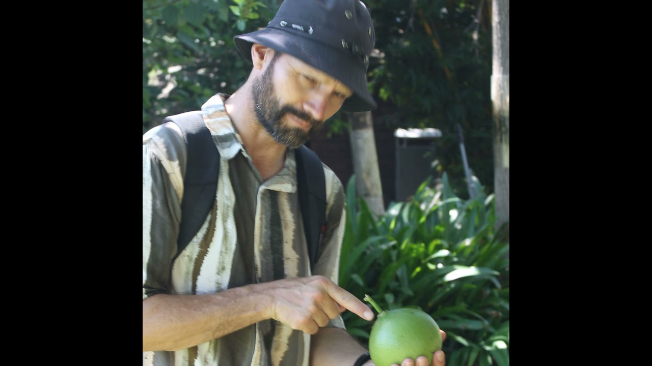 6. Siguiendo Transformaciones: mutualidades e interacciones entre plantas y animales. (DiegoMuñoz)