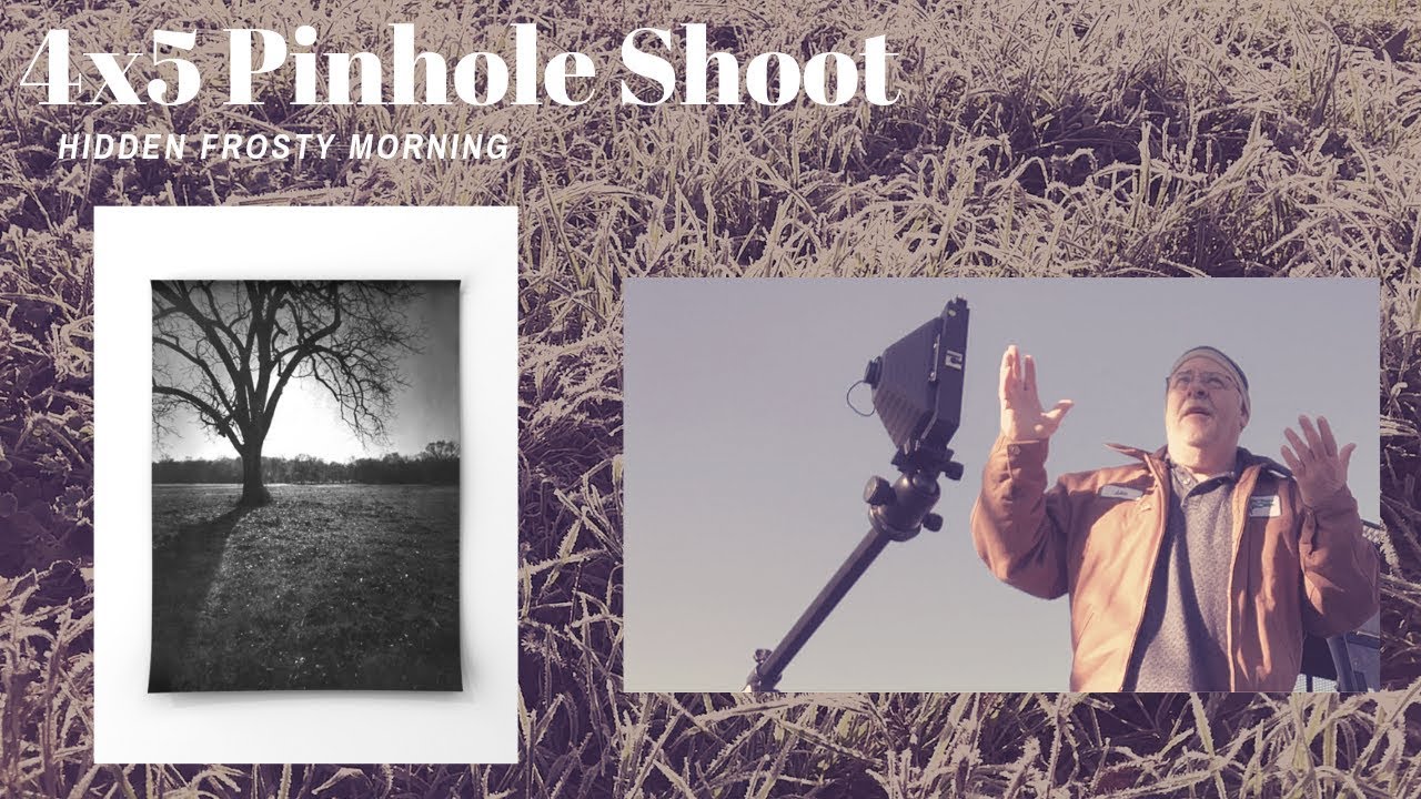 4x5 Pinhole Shoot: Hidden in a Frosty Morning