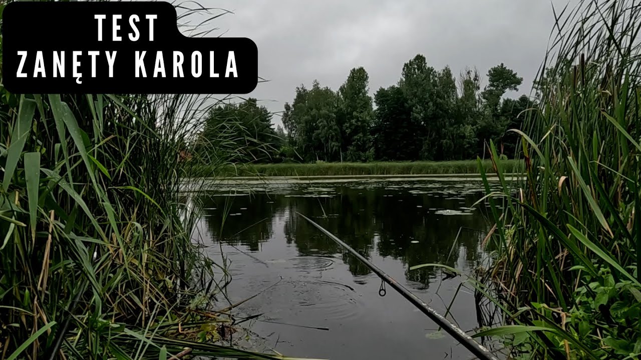 PIĘKNA RYBA W KAPELONACH  - Wędkarstwo 2025 
