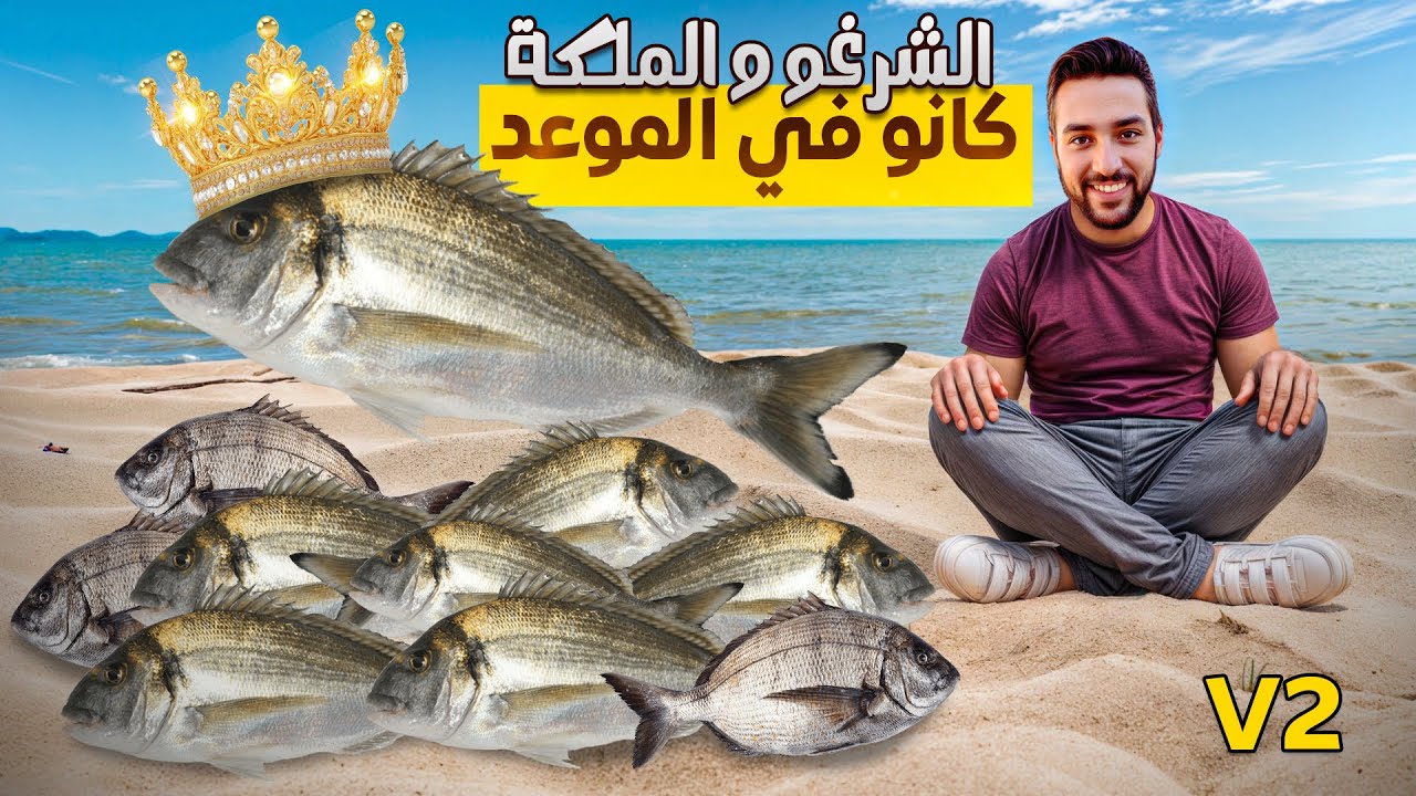 أفضل مصايد الدوراد النتيجة حصيلة كبيرة : الجزء الثاني