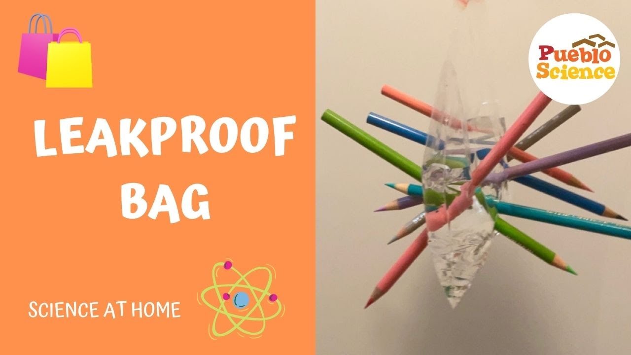 Leakproof Bag