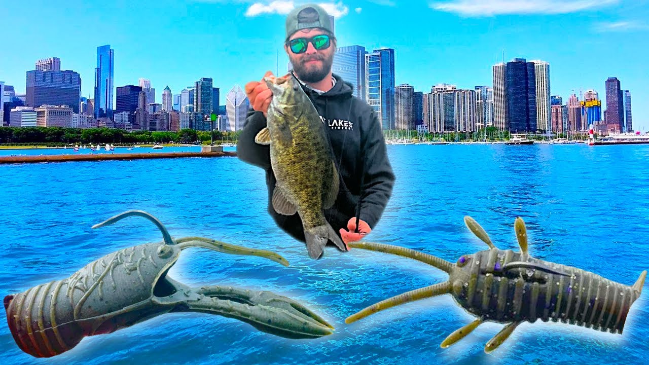 BIG Chicago Smallmouth Bass