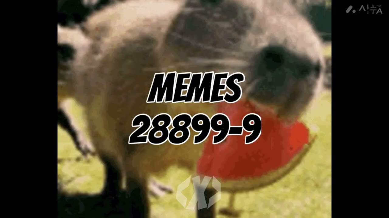 Capybara vs Wednesday