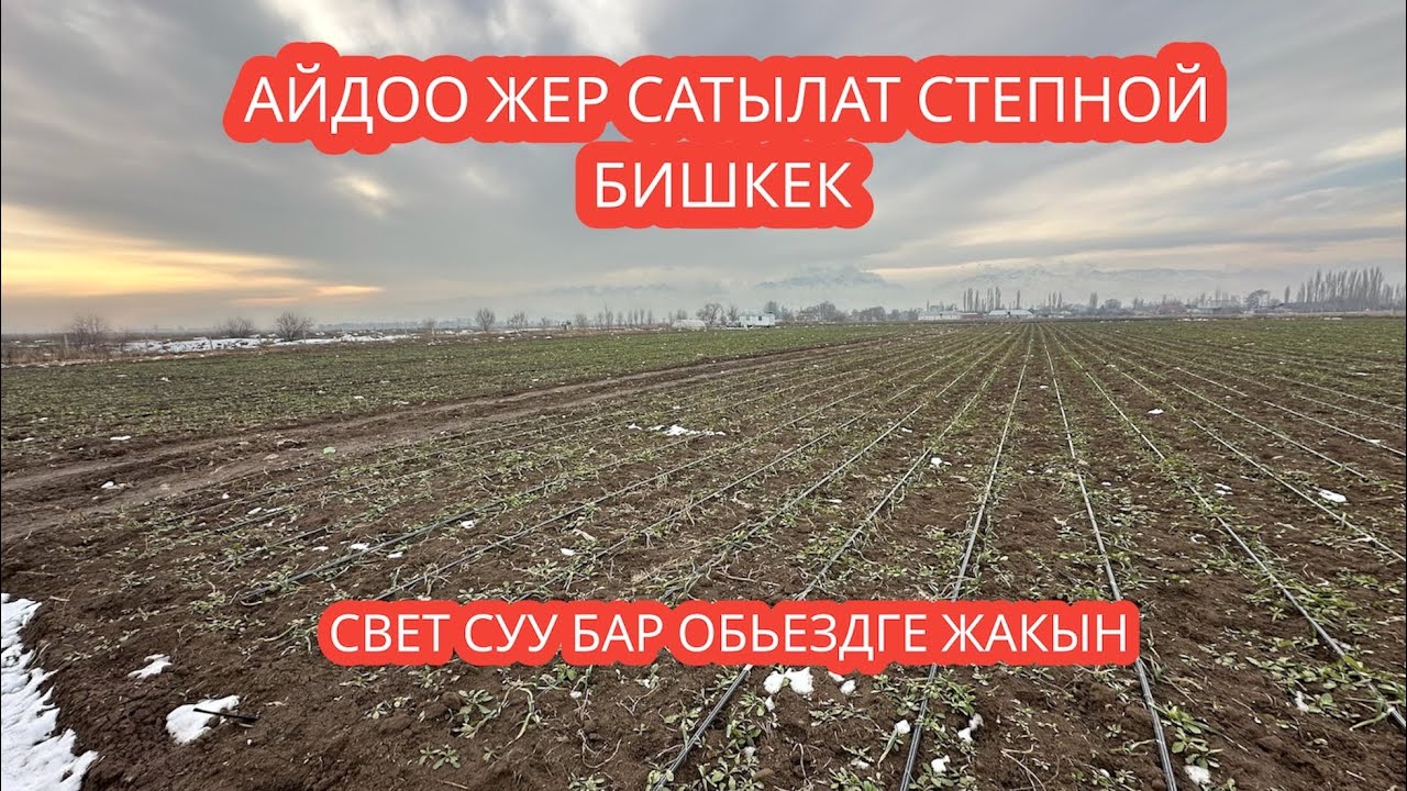 АЙДОО ЖЕР САТЫЛАТ СТЕПНОЙ БИШКЕК 2024