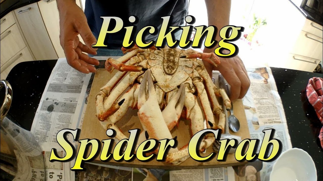 🦀 Picking  Preparing Spider Crab Without Shell