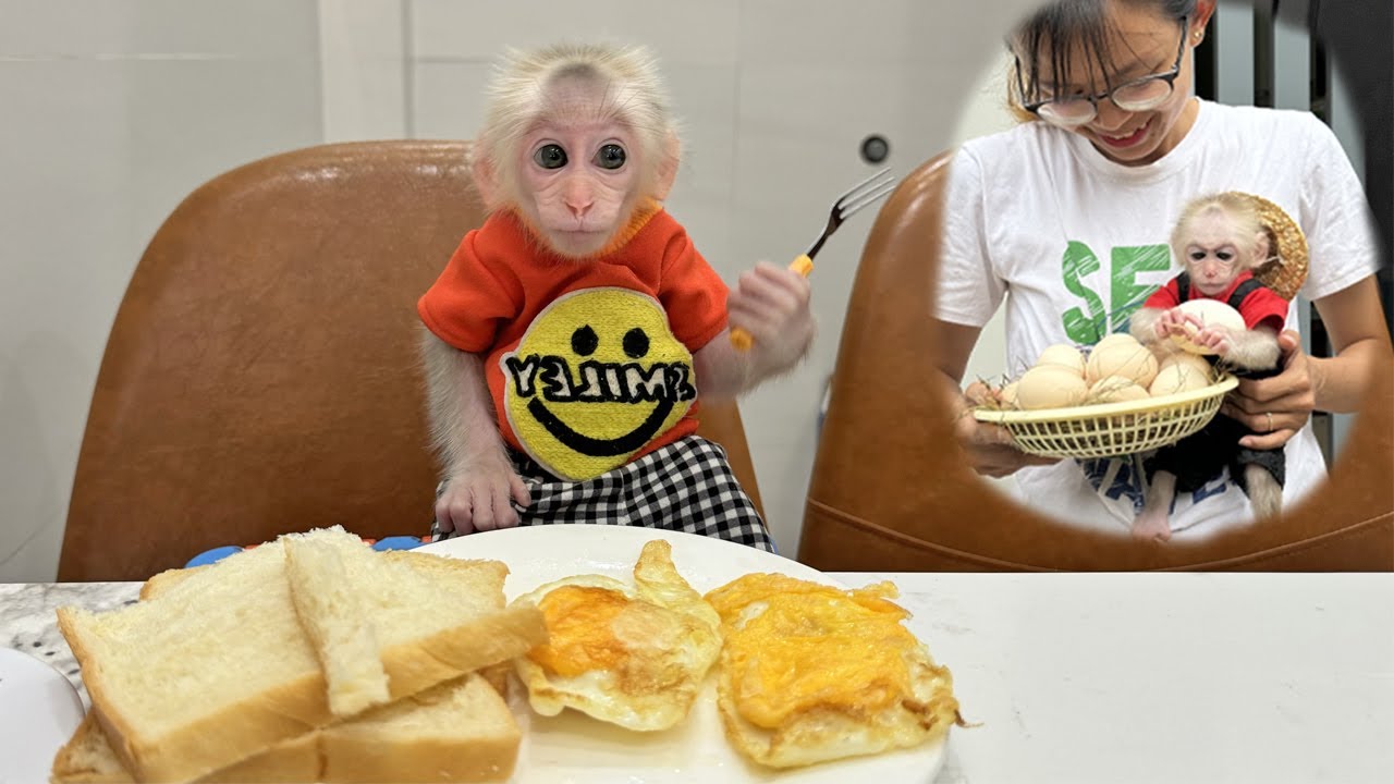 Discover Lucky Favorite Breakfast: What's So Special?