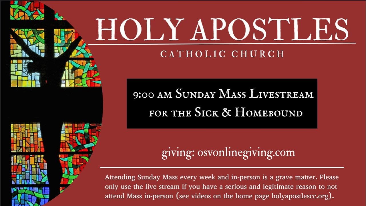 The Fifth Sunday in Ordinary Time 2/08/2026