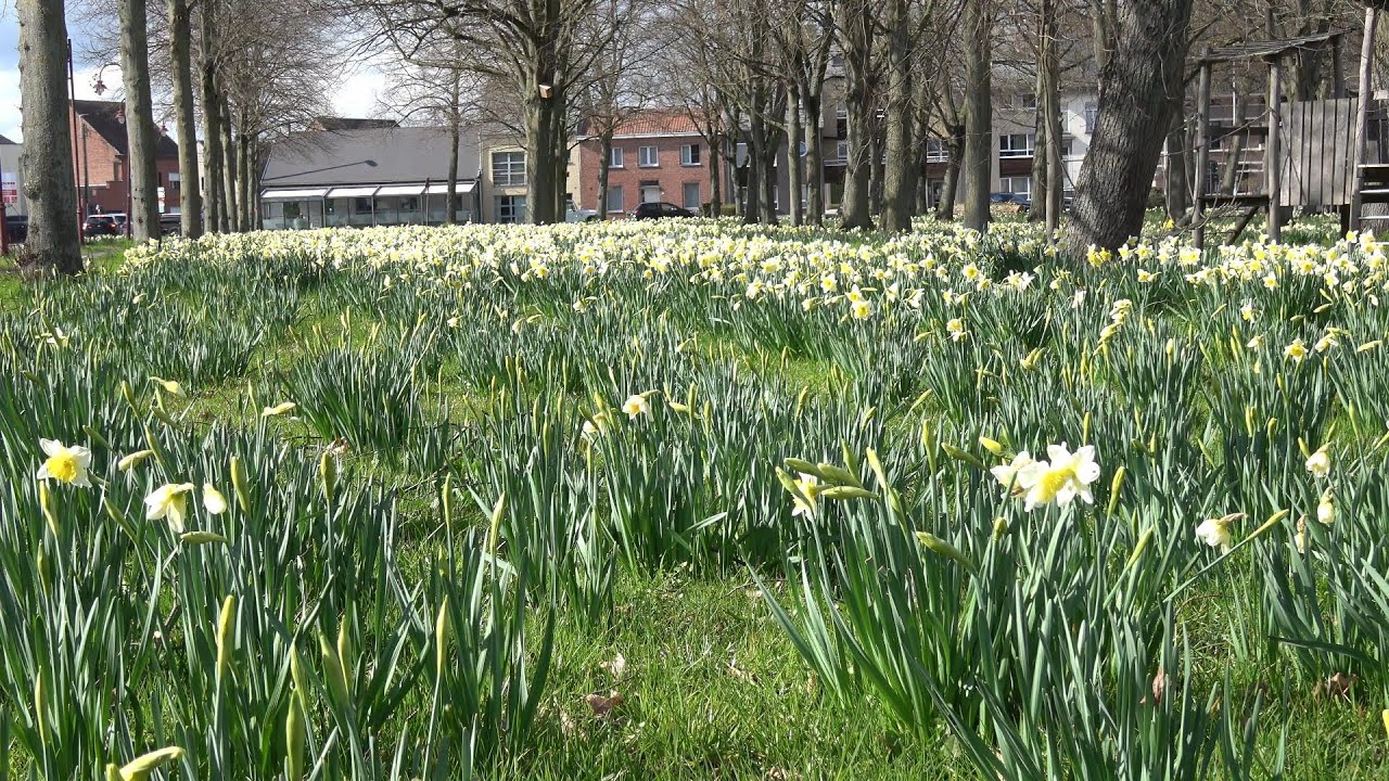 Op wandel in Opdorp - Filmpjes Jan De prins