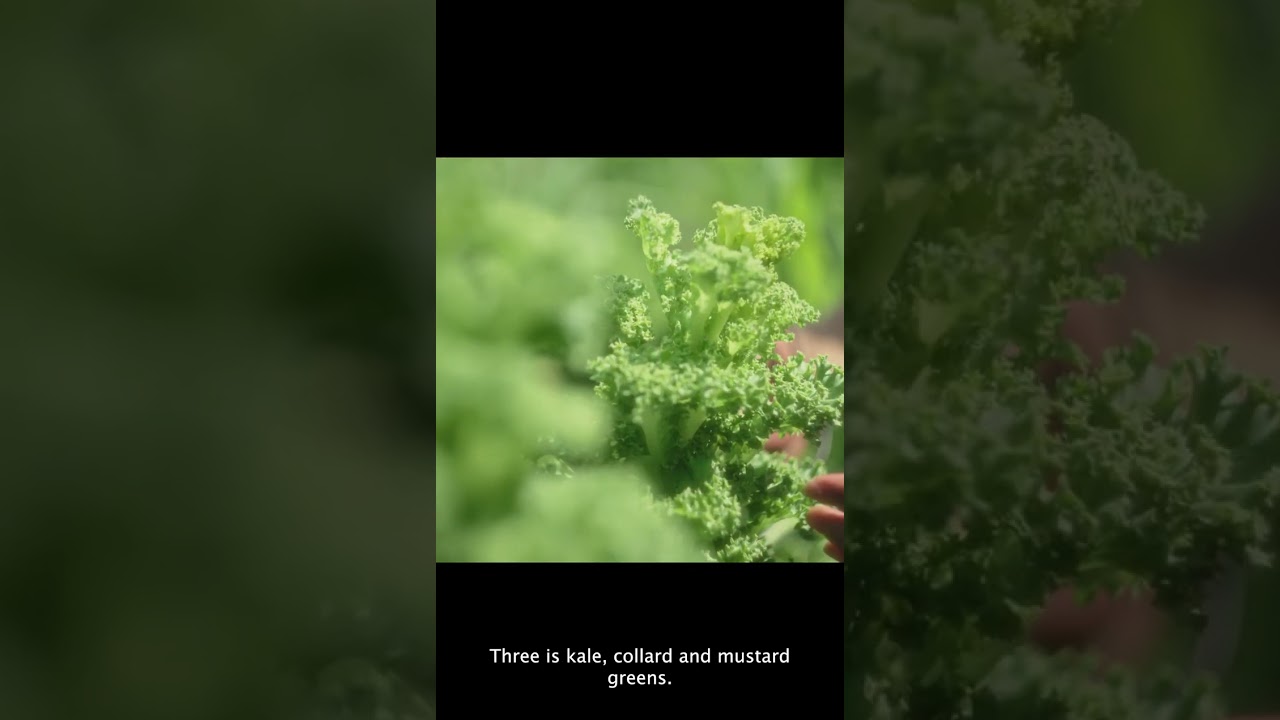 The Dirty Dozen: Fruits and Vegetables Most Likely to Be Contaminated with Pesticides
