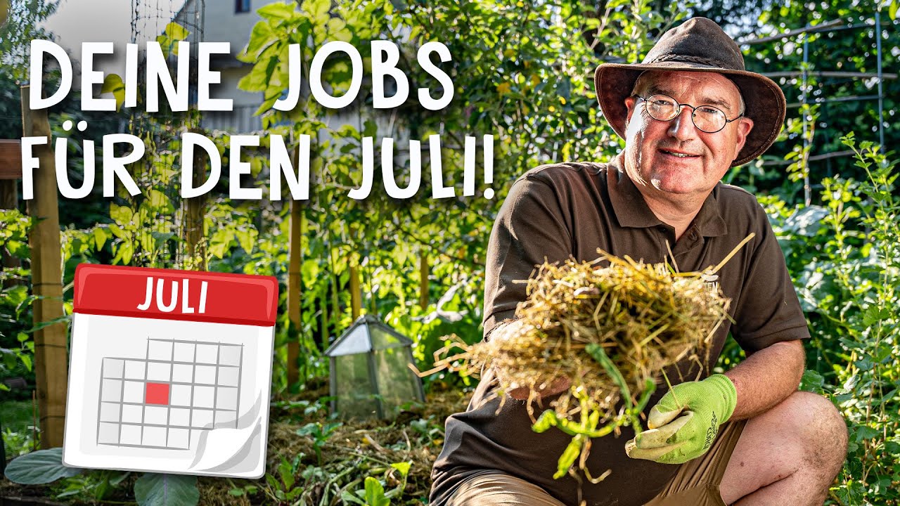 5 Aufgaben im Garten für den Juli 🌻 - Rückschnitt am Obstbaum, Rosenpflege & mehr