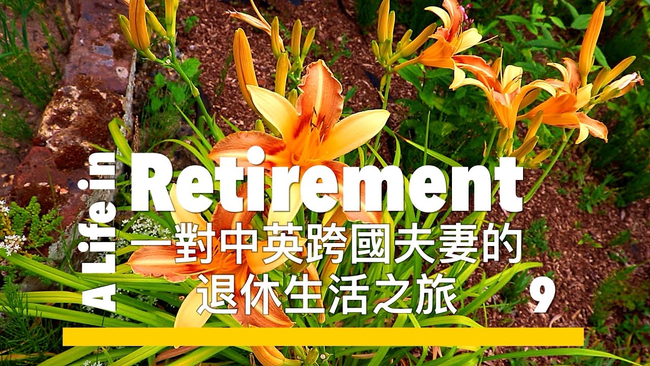 A Life in Retirement - 9. An English Chinese couple's journey. 一對中英跨國夫妻的退休生活之旅 - 9.