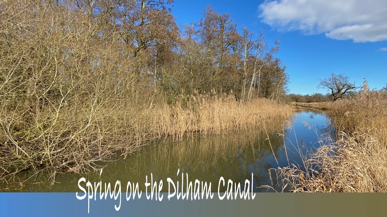 Dilham Canal and Honing Lock walk in Norfolk