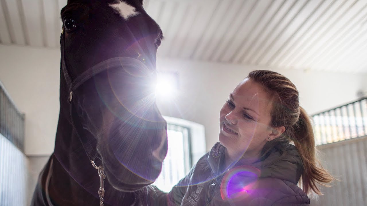 Årets Hästskötare 2018 - Josefine Ander