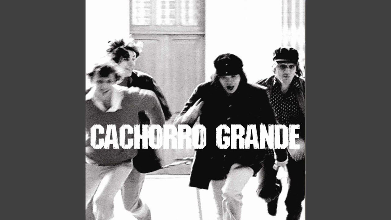 Debaixo Do Chapeu