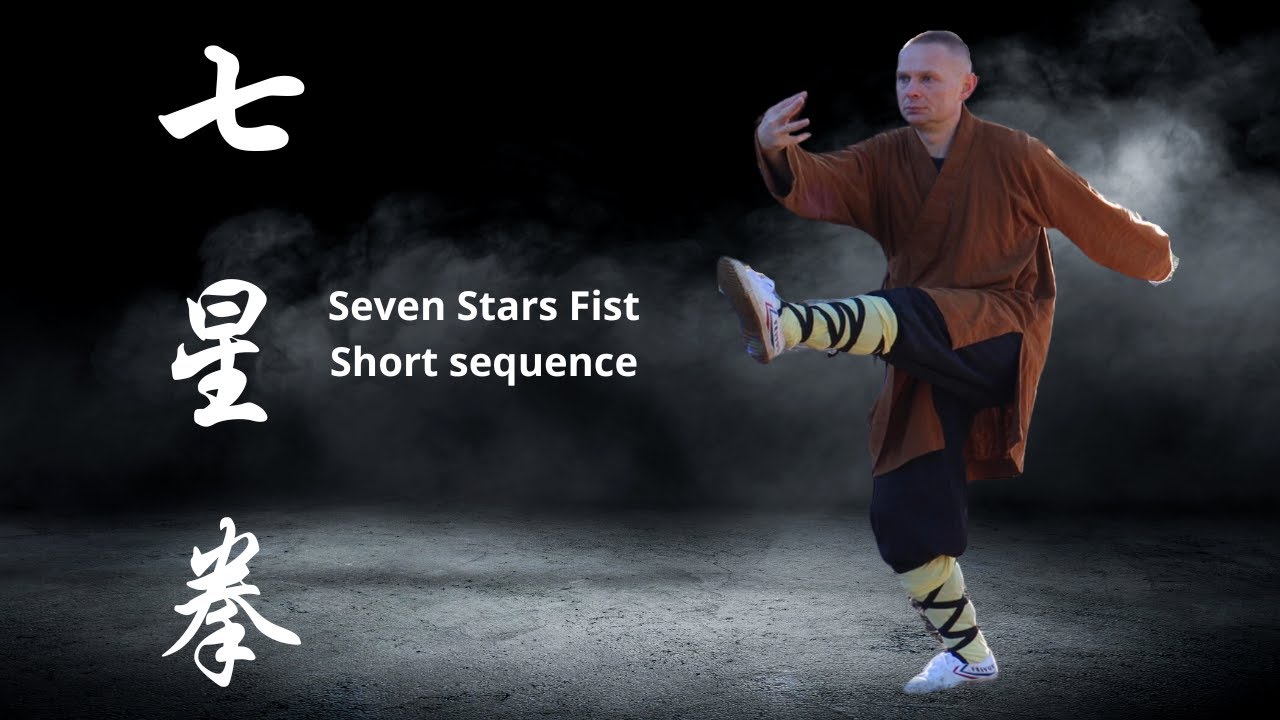 Seven Stars fist(QI Xing Quan) - short key sequence