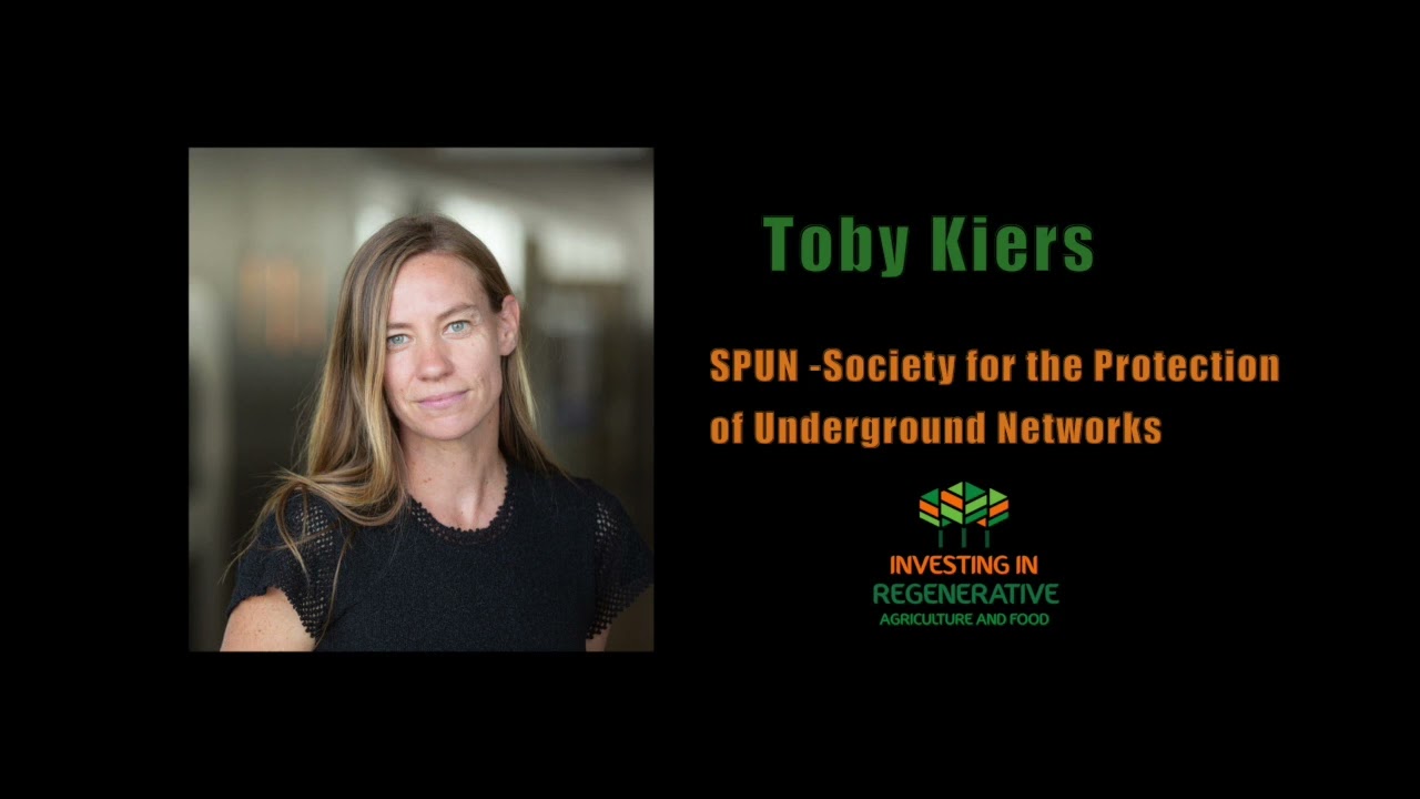 Toby Kiers, the Jane Goodall of fungi on being an underground astronaut and mycorrhiza network