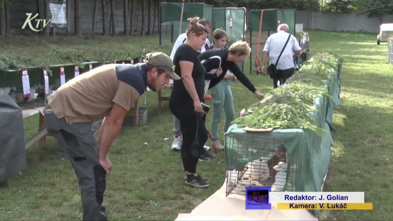 Výstava zvierat