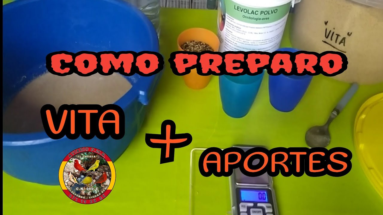 COMO PREPARO EL VITA  +COMPLEMENTOS. Cría de canarios 2021. Aviario PMR