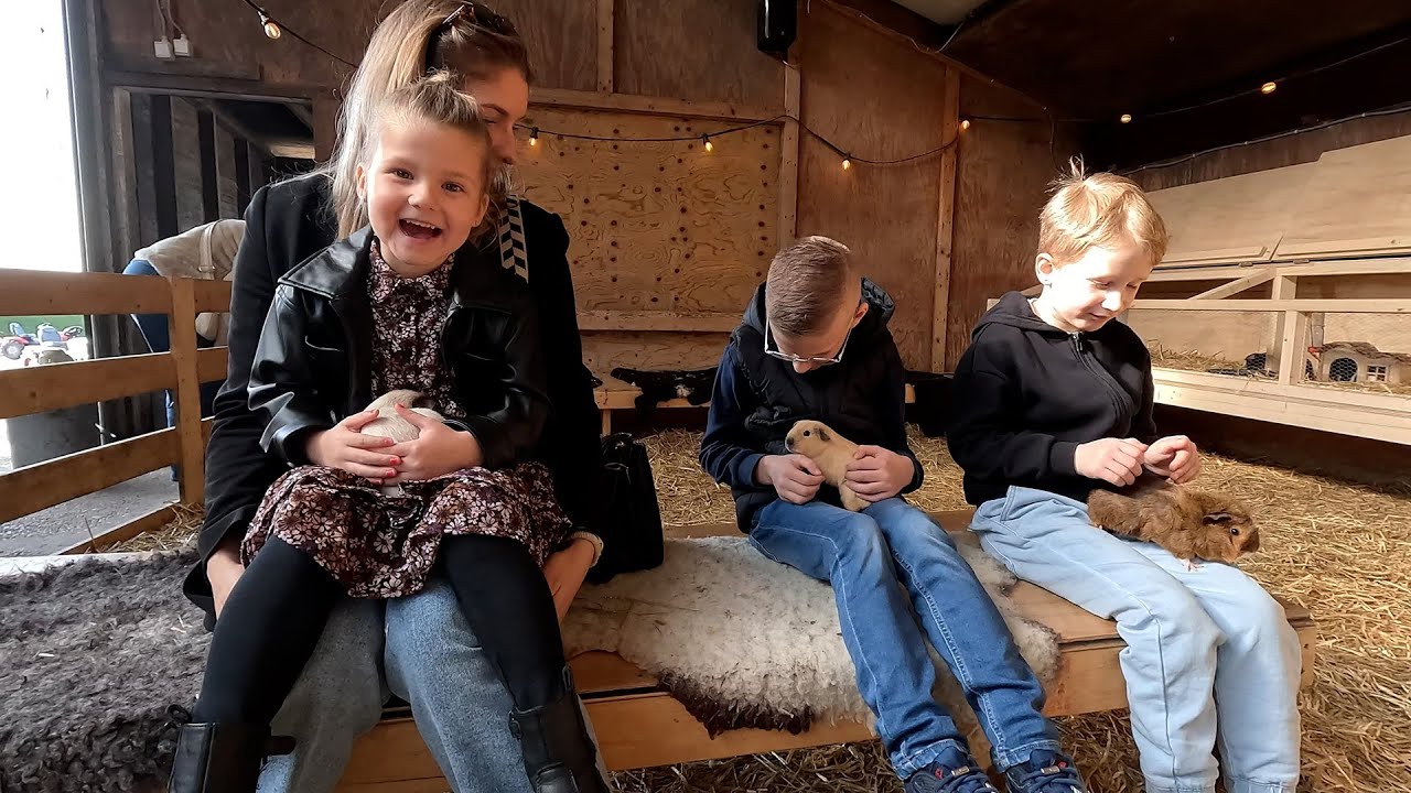 Schapenboerderij Texel | Lammetjes