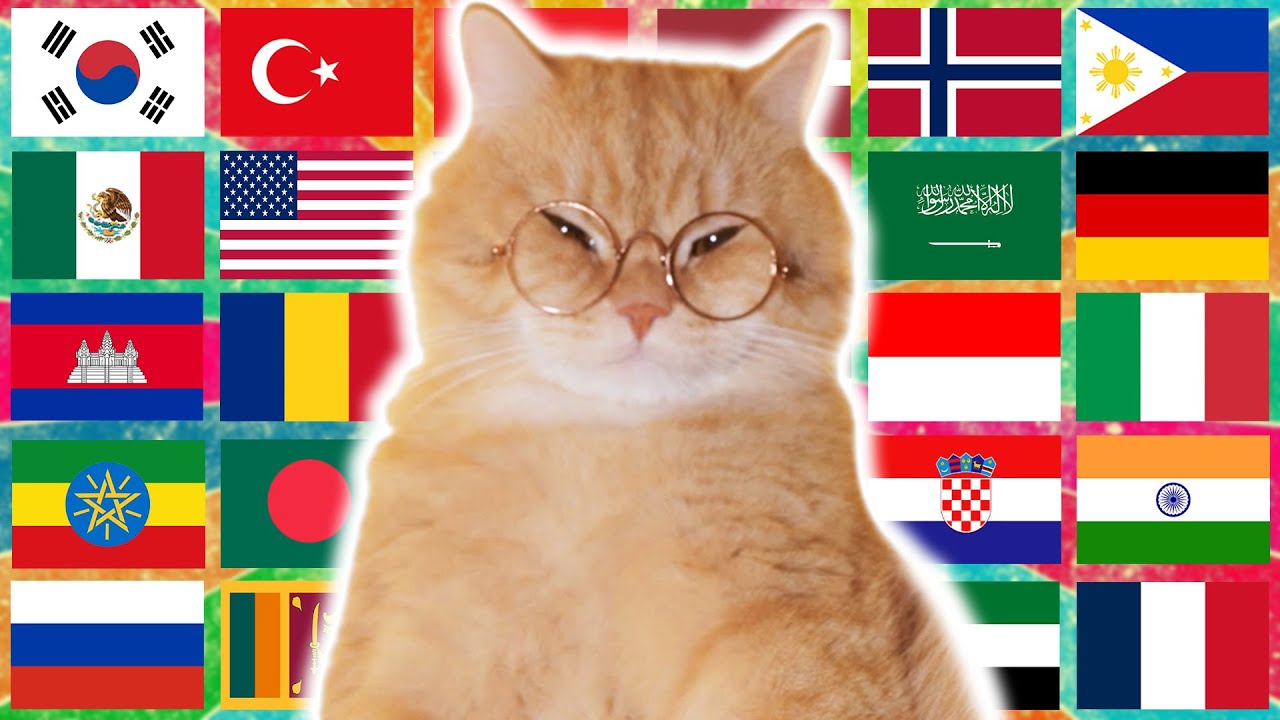 Ay Mi Gatito Miau Miau in 70 Languages Meme