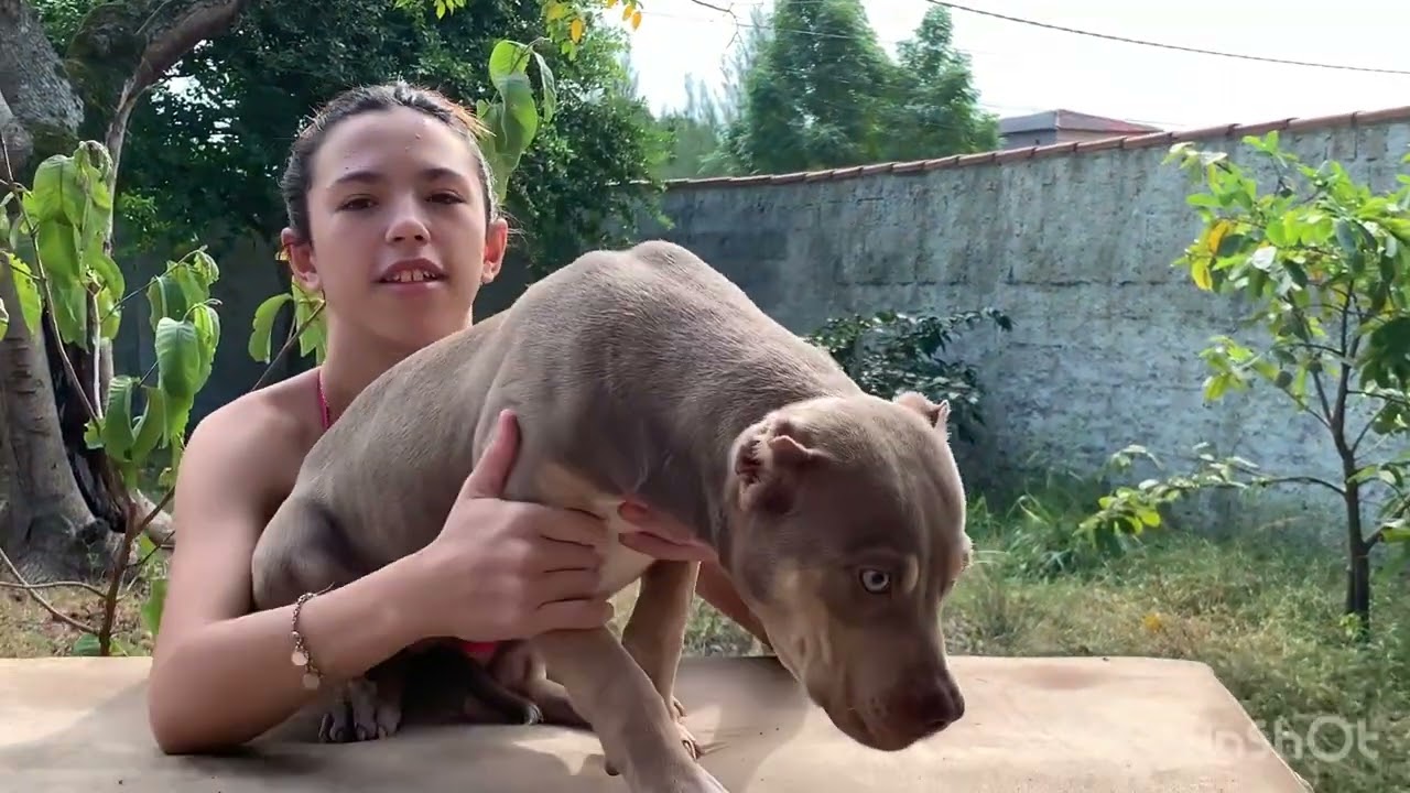 Fêmea tri LILAC fechada no BARAKA e no Bearzilla ✅✅✅✅