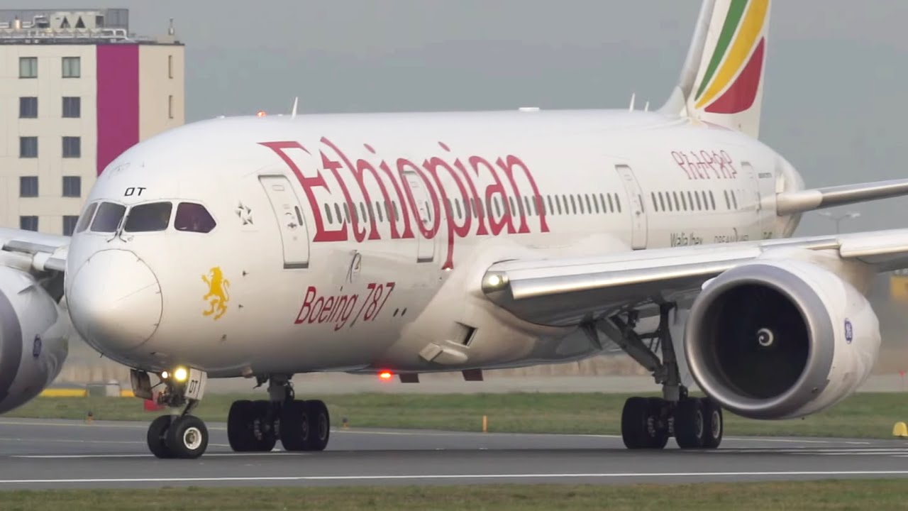 Early Morning Sunrise Plane Spotting at Vienna Airport- UP CLOSE Departures