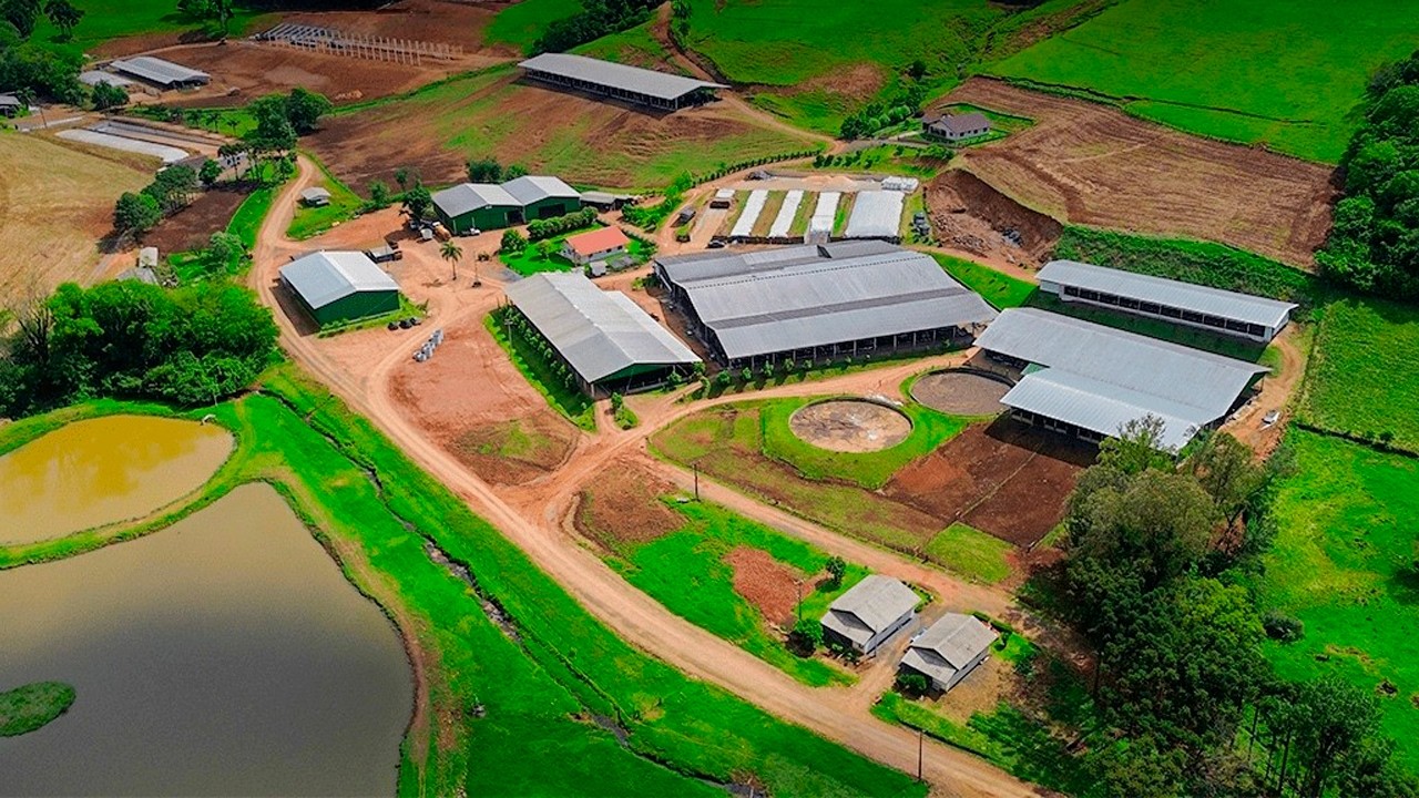19.360 LITROS DE LECHE POR DÍA CON 440 VACAS: LA PRECISIÓN DE LA GRANJA IRMÃOS AUER, TREZE TÍLIAS 🇧🇷