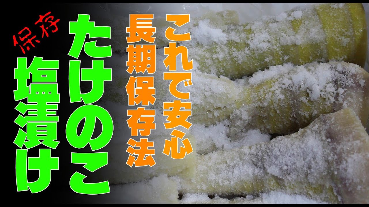 竹の子の長期保存方法　塩漬けにして通年使用。これで安心！！もう迷わない。