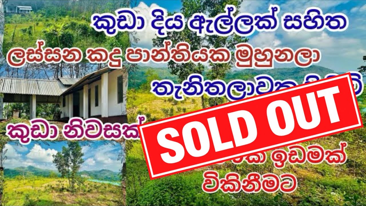 9 Acres Tea And Rubber Land Sale In Avissawella 
