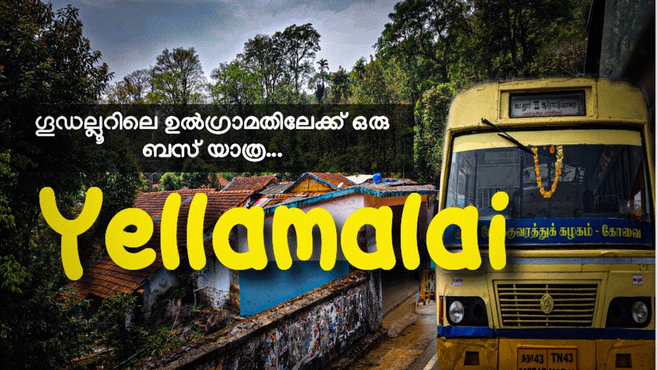 20 രൂപക്ക് കാടിനുള്ളിലെ ഗ്രാമം കാണാം....