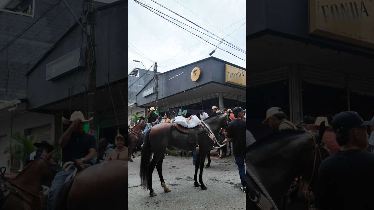 de raspa en  apartado  los mejores equinos de Urab&aacute; #cabalgata #caballos #apartad&oacute; #uraba #viral