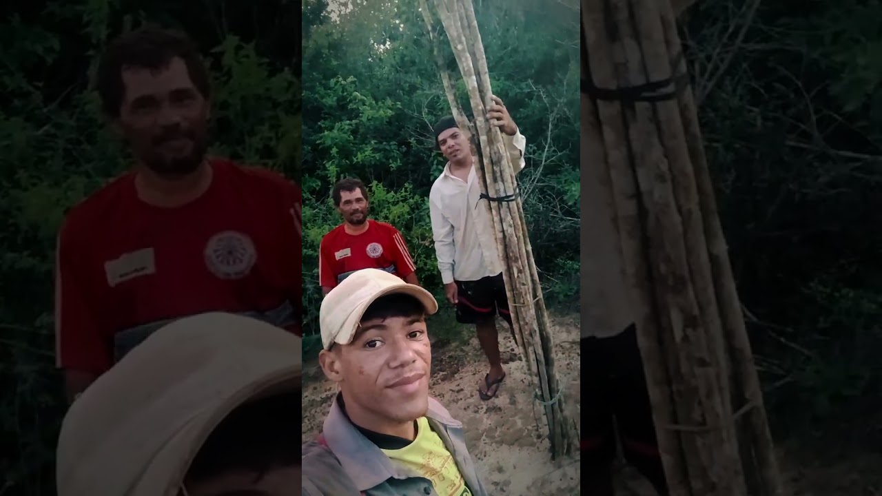 Indo na Mata tira verga pra nossos berimbaus 