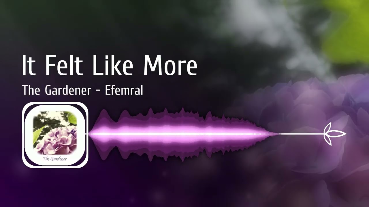 It Felt Like More