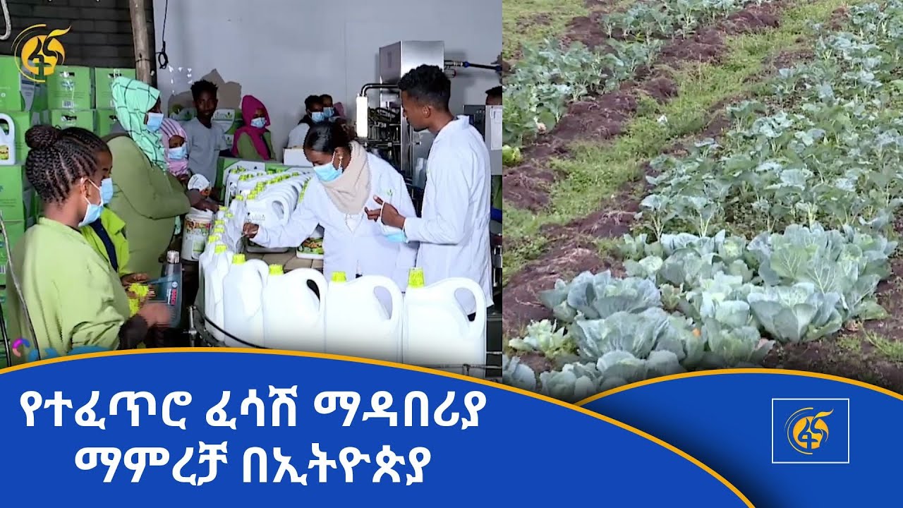 የተፈጥሮ ፈሳሽ ማዳበሪያ ማምረቻ በኢትዮጵያ