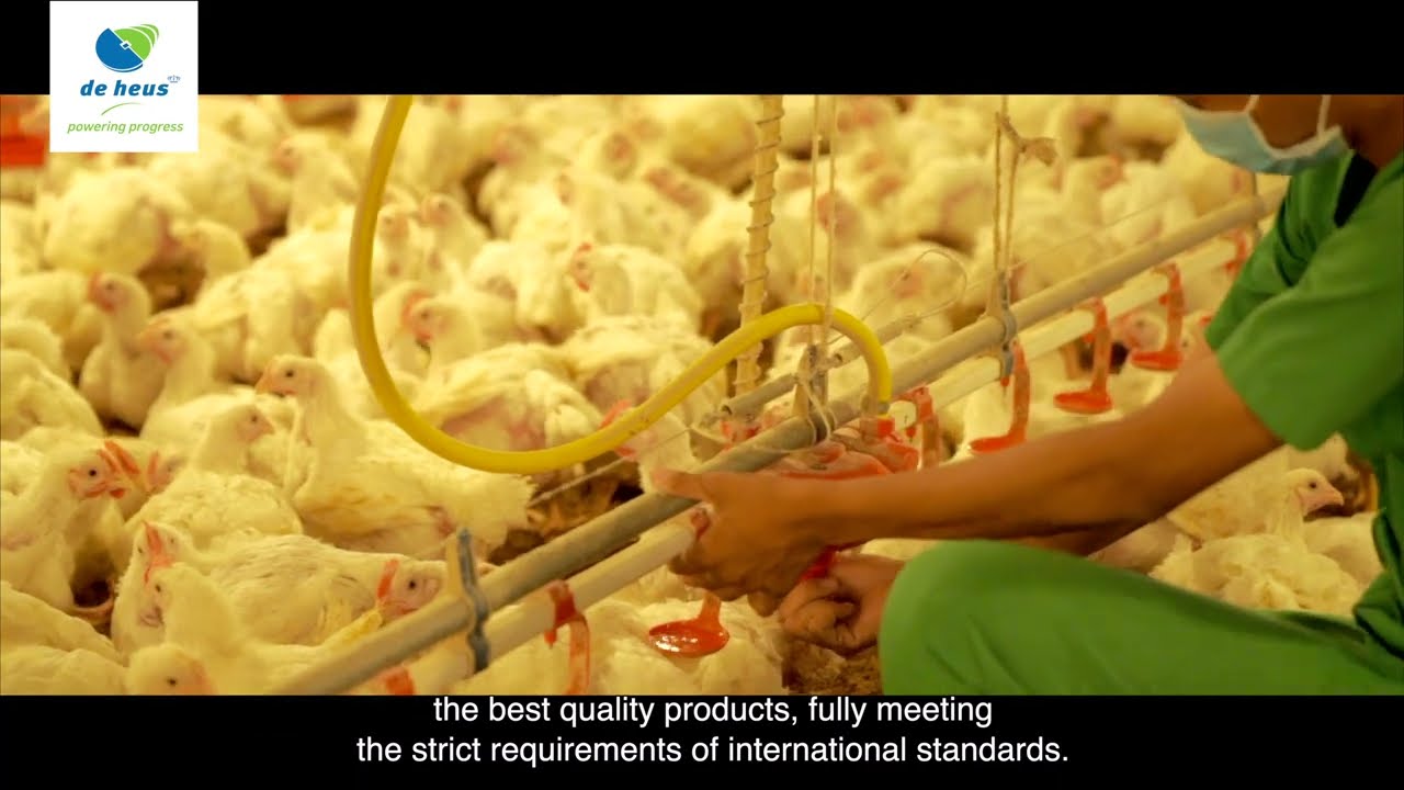 De Heus TMH Cambodia Corporate Video