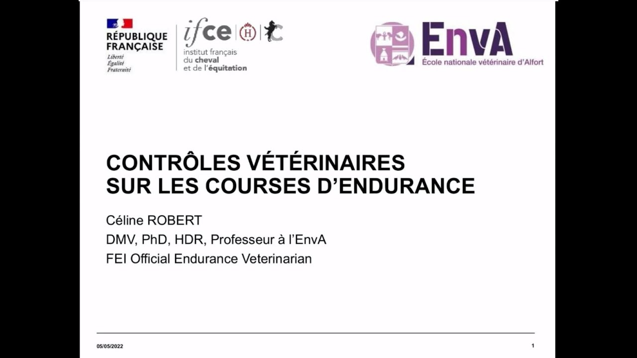 Contrôles vétérinaires sur les courses d’endurance - Céline Robert