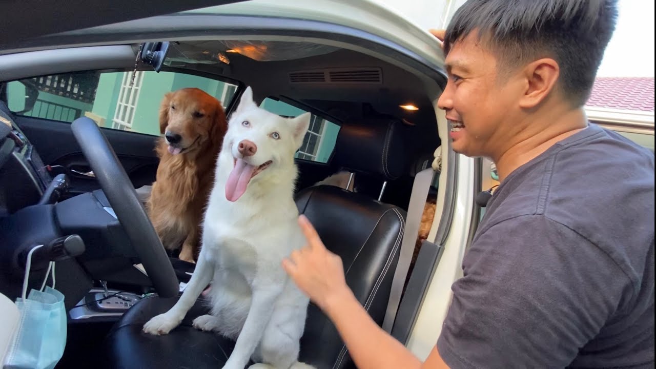 Nakawin kotse ni dadi #TropangL 🤣🤣